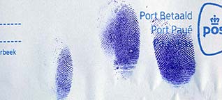 Fingerprints in blood on envelope after staining with Leuco Crystal Violet (LCV).
