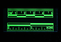 Green, fluorescent ruler, fluorescing (UV light, 455 nm filter), 5 cm